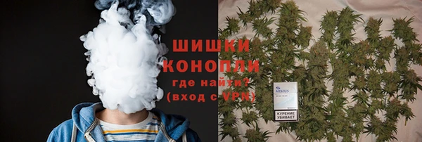 PSILOCYBIN Белокуриха
