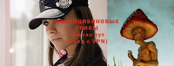PSILOCYBIN Белокуриха